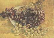 Vincent Van Gogh Still life wtih Grapes (nn04)